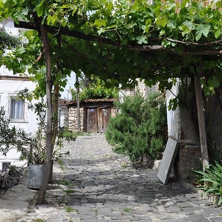 Lakeview Apartments Ohrid Kültér fotó